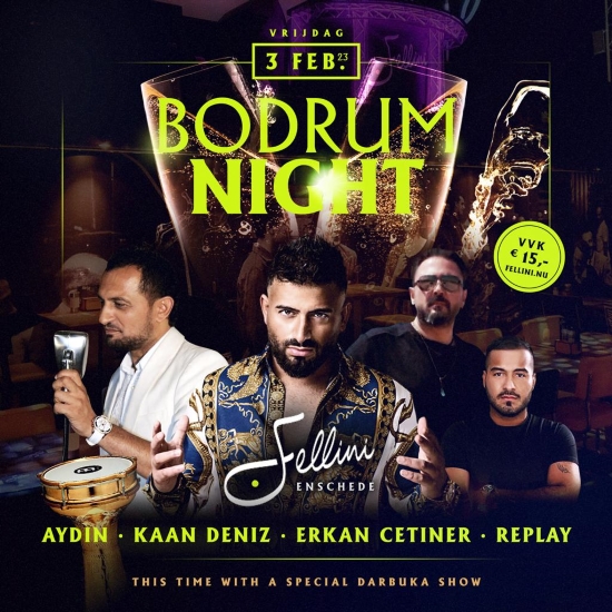 Bodrum Night